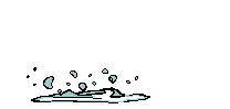msas logo